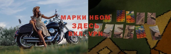 индика Армянск