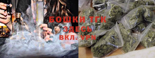 индика Армянск