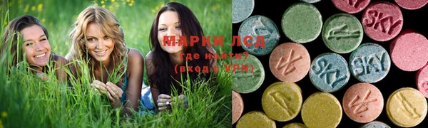 индика Армянск