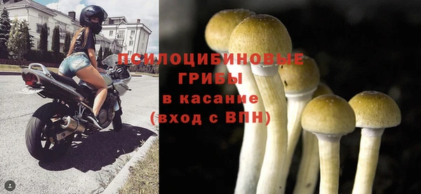 индика Армянск