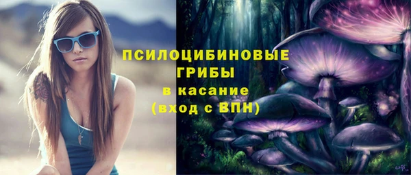 индика Армянск