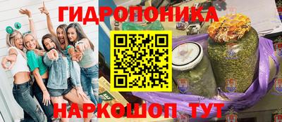 СК Кандалакша