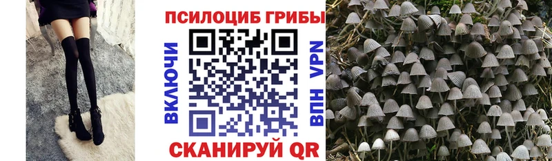 Галлюциногенные грибы MAGIC MUSHROOMS  Лянтор 